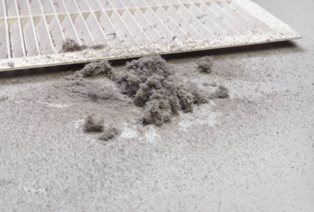 Best Affordable Duct Cleaning Services  in Carthage, NC
