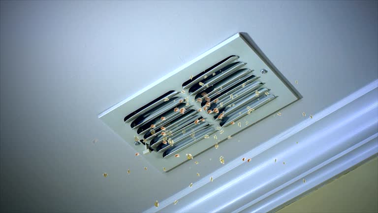 Best Air Duct Cleaning Near Me  in Carthage, NC