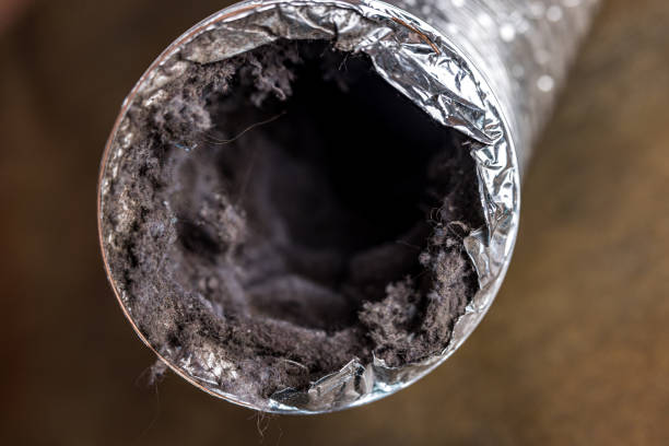 Best HVAC Duct Inspection Services  in Carthage, NC