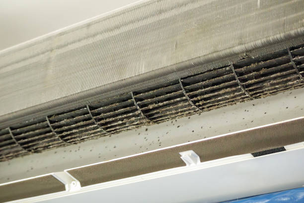 Best HVAC System Cleaning  in Carthage, NC